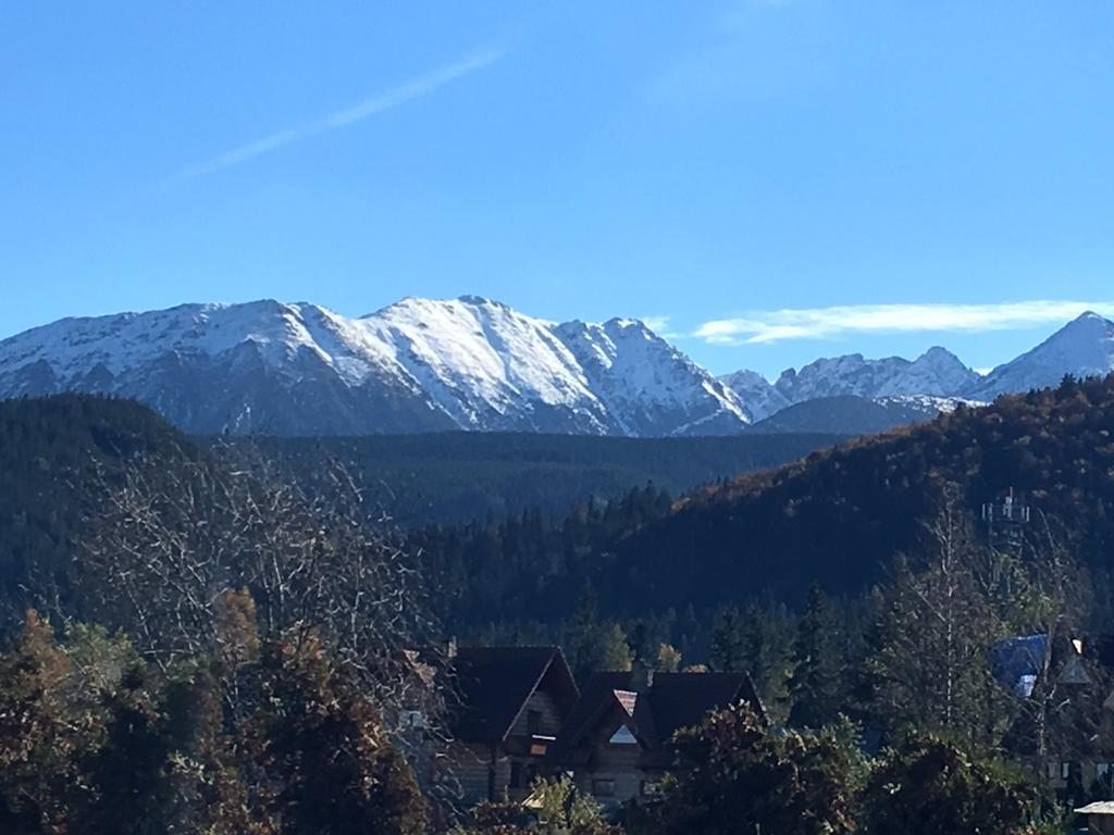 Villa Gronik Закопане Екстер'єр фото